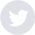 twitter icon
